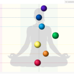 chakra e biowell